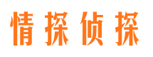 马村婚外情调查取证